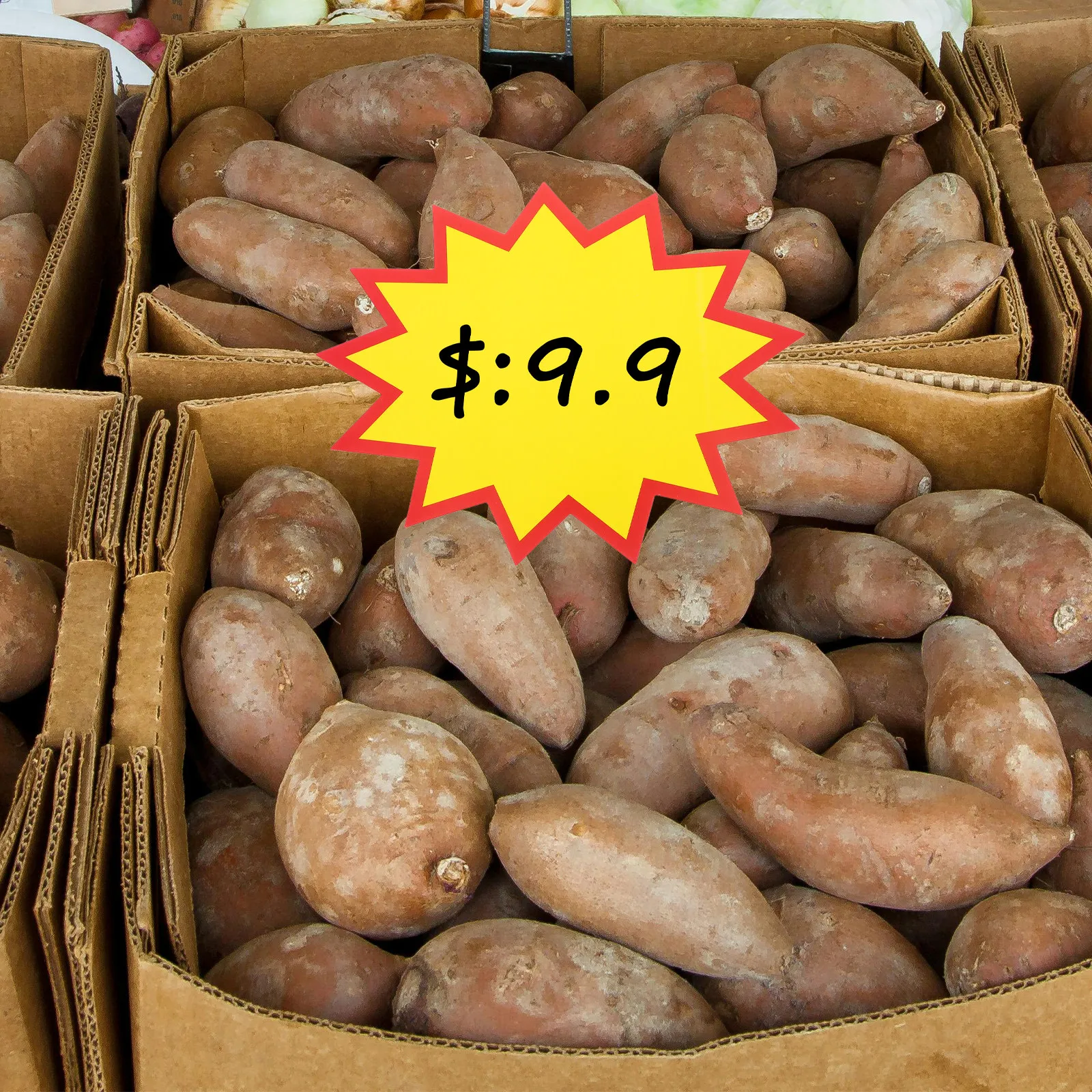 

100Pcs High Visibility Paper Price Tags Replacement Sale Tags for Retail Commerce Fundraising Price Label