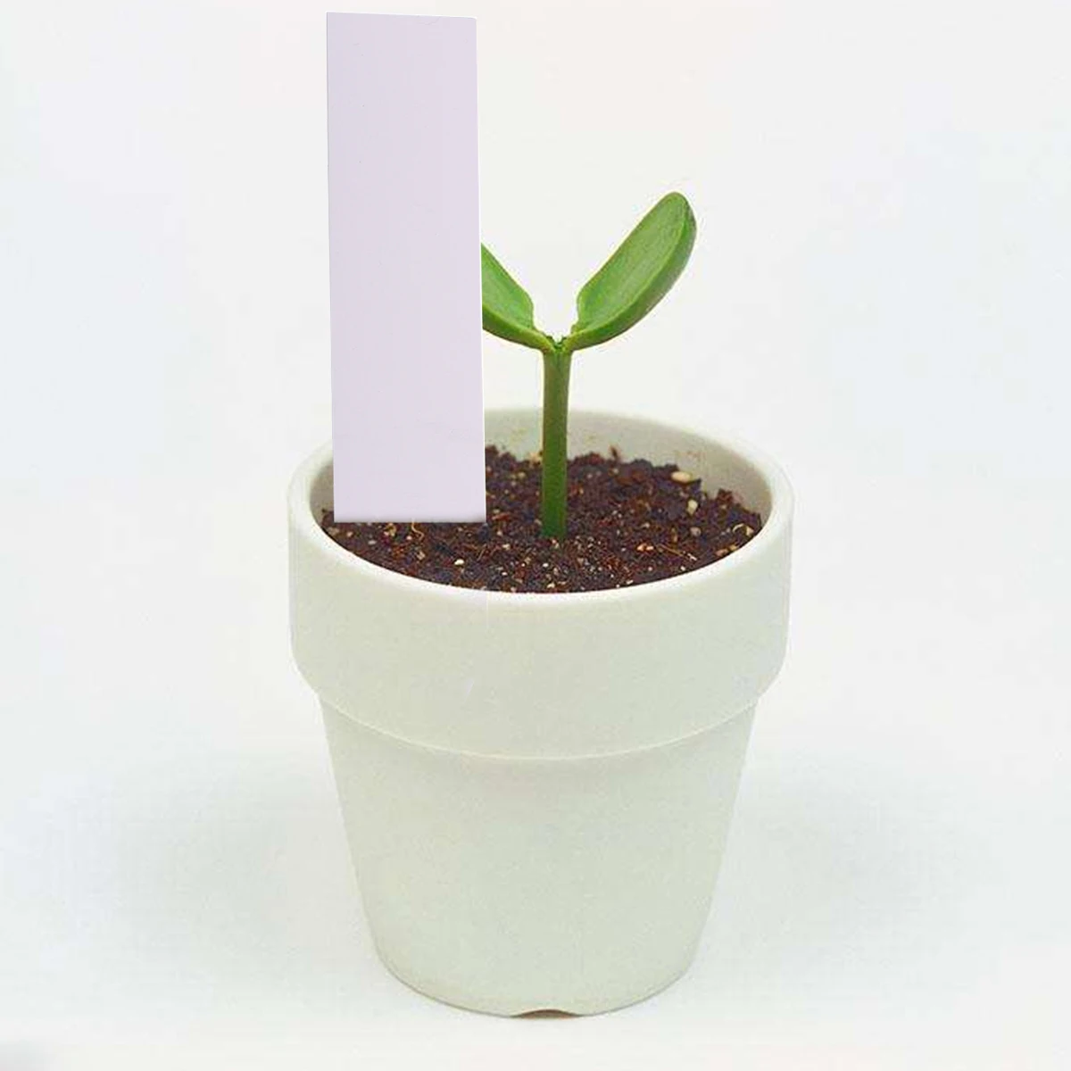 

Plant Stakes Gardening Label Indoor Plants Markers Household Waterproof White Tags