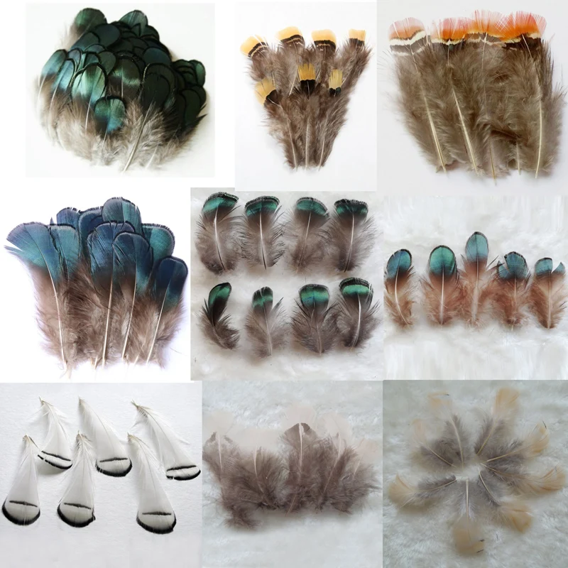 

200Pcs/lot Lady Amherst Pheasant Body Plumage Feathers,Loose Small Feathers for Diy Carnival Costume Mask Headdress Decoration