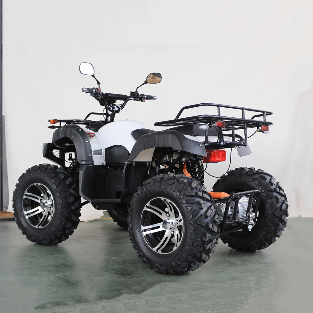 High Cost Performance 4x4 adult quad 3000w electric atv for salecustom