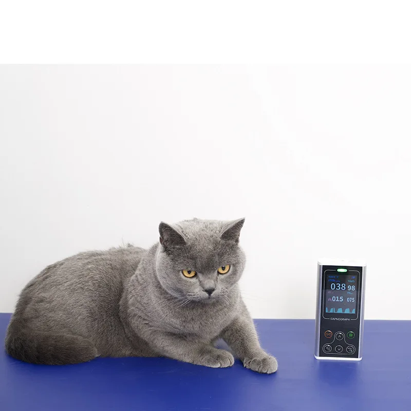 Kangtai Best-Selling Veterinary ing Device For Pets Side-Stream Inhalation CO2 ing Air Path Adapter Carbon Dioxide