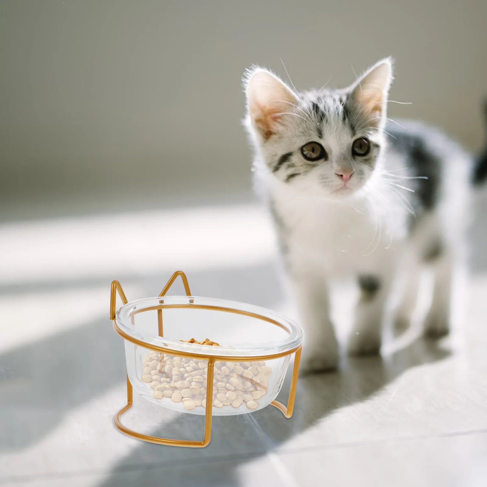 

1Set Cat Feeding Bowl Rack High Base Tilted Glass Pet Food Storage Bowl Comfort Neck Care Pet Food Container Dog Feeder