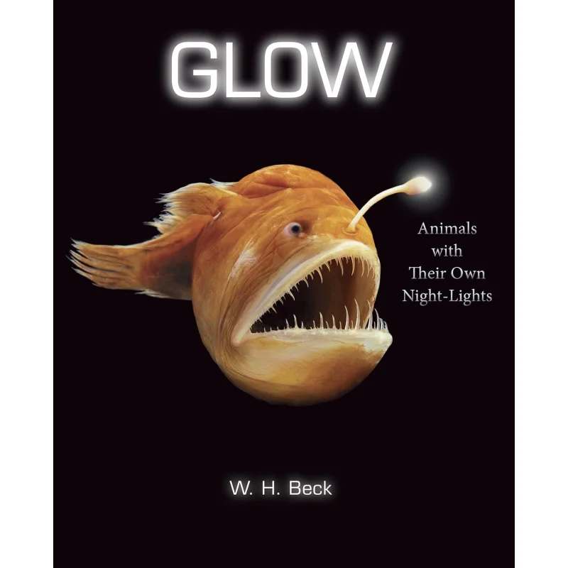 Glow Animals With Their Own NightLights Beck W H Harper Collins US 9780544416666 Book