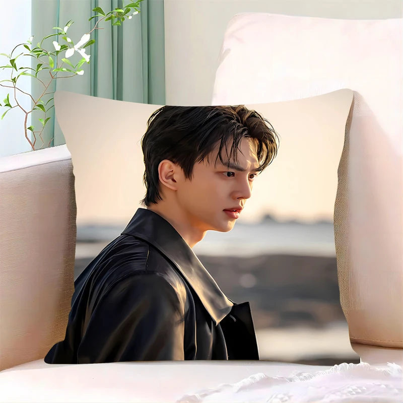 Pillow Cover Birthday Wedding Gifts 40x40 Cushions Covers S-Song Kangs Dakimakura Fashion Throw Pillows iving room Pillowcase