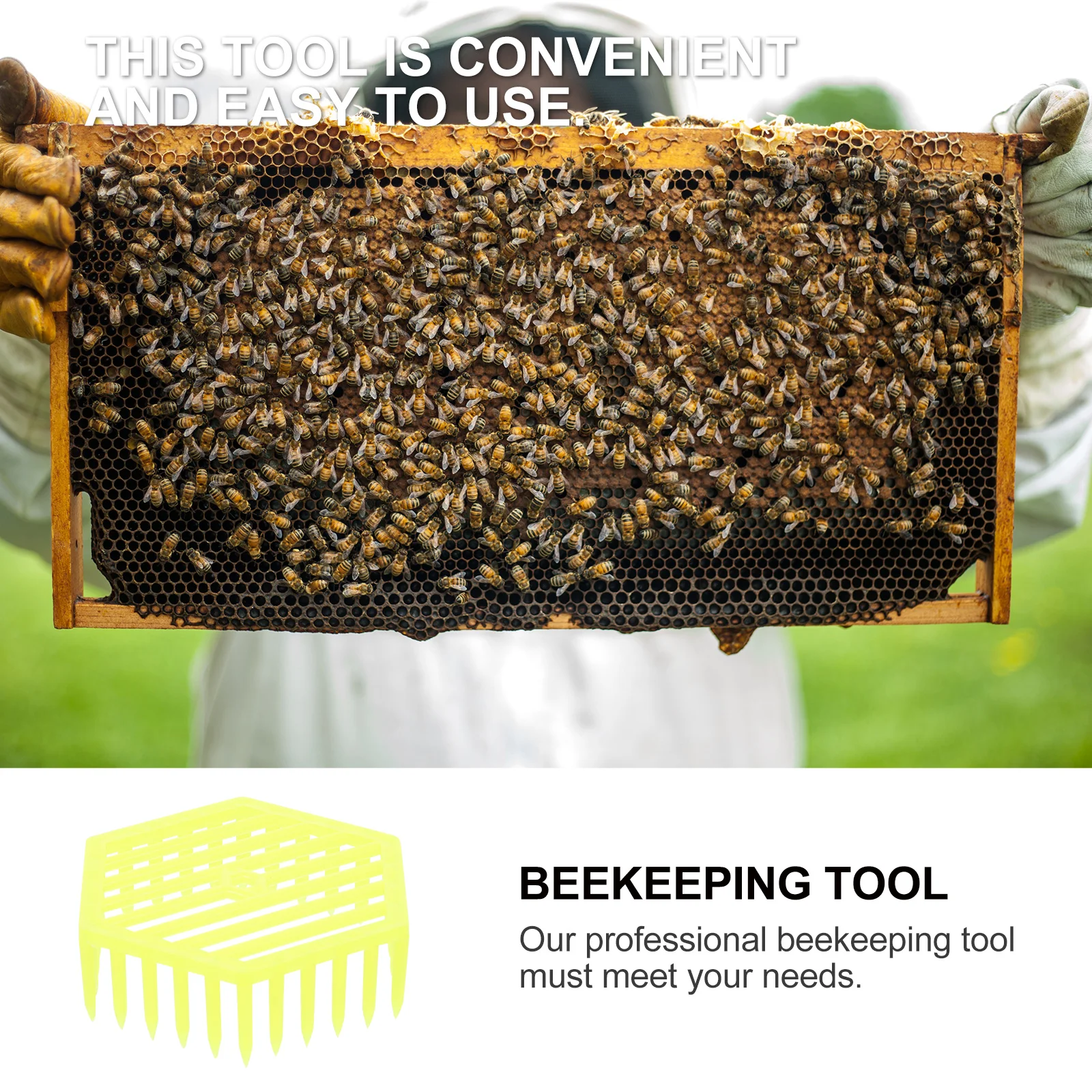 

6pcs Cage Beekeeping Tool Safe Durable Hive Supplies Equipment Positioning Plate Tools Beehive Management Gardening