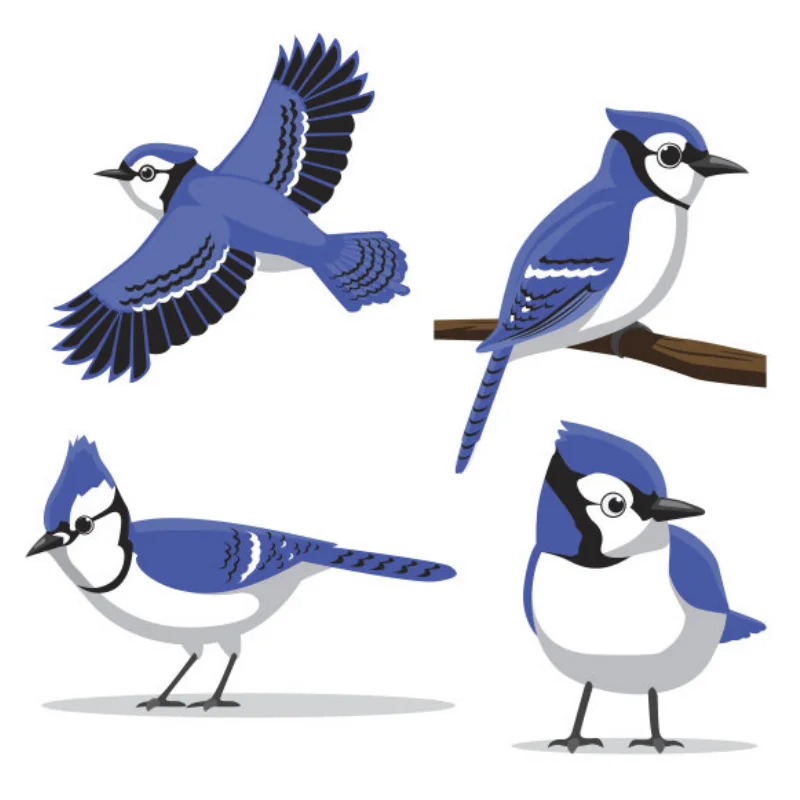 

Front Bumper 1:6 Accessories Assembly Modification Car Hobby Bracket Truck Spare Parts DIY RC Car Parts for SCX6 RC Car Vehicles