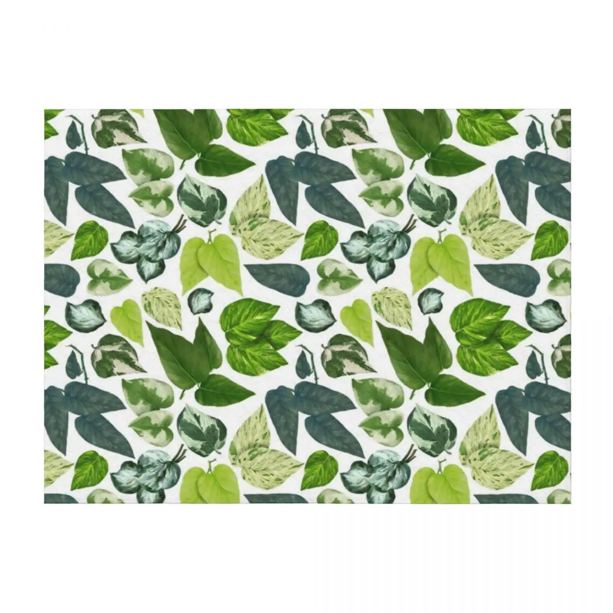 

Pothos Leaves Family Throw Blanket for babies Baby Decorative Throw For Sofa Thin Blankets