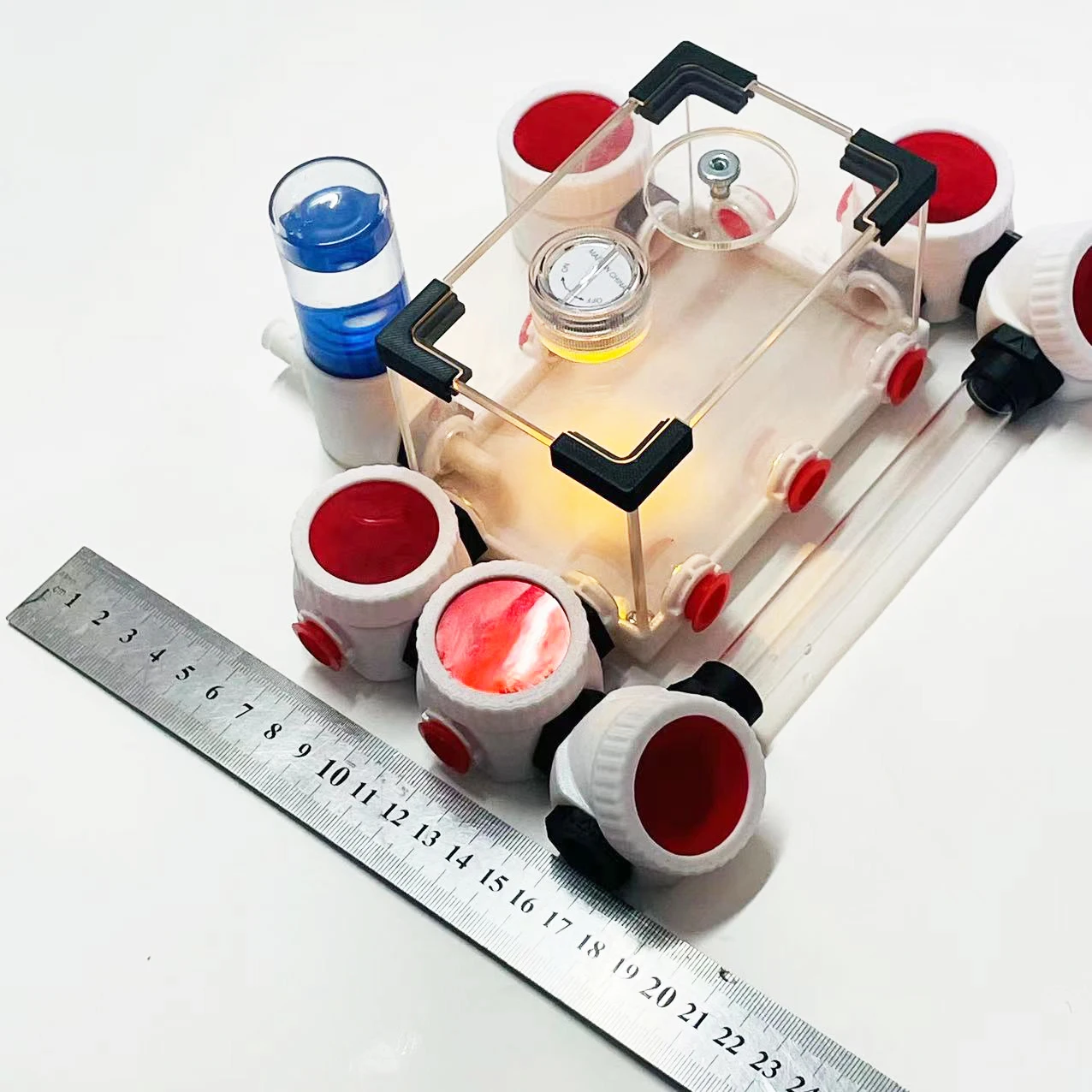 insect ant Habitat for STEM Learning 3D print unlimite expansion ant formicarium,Eco plaster ant nest ,ant farm arylic