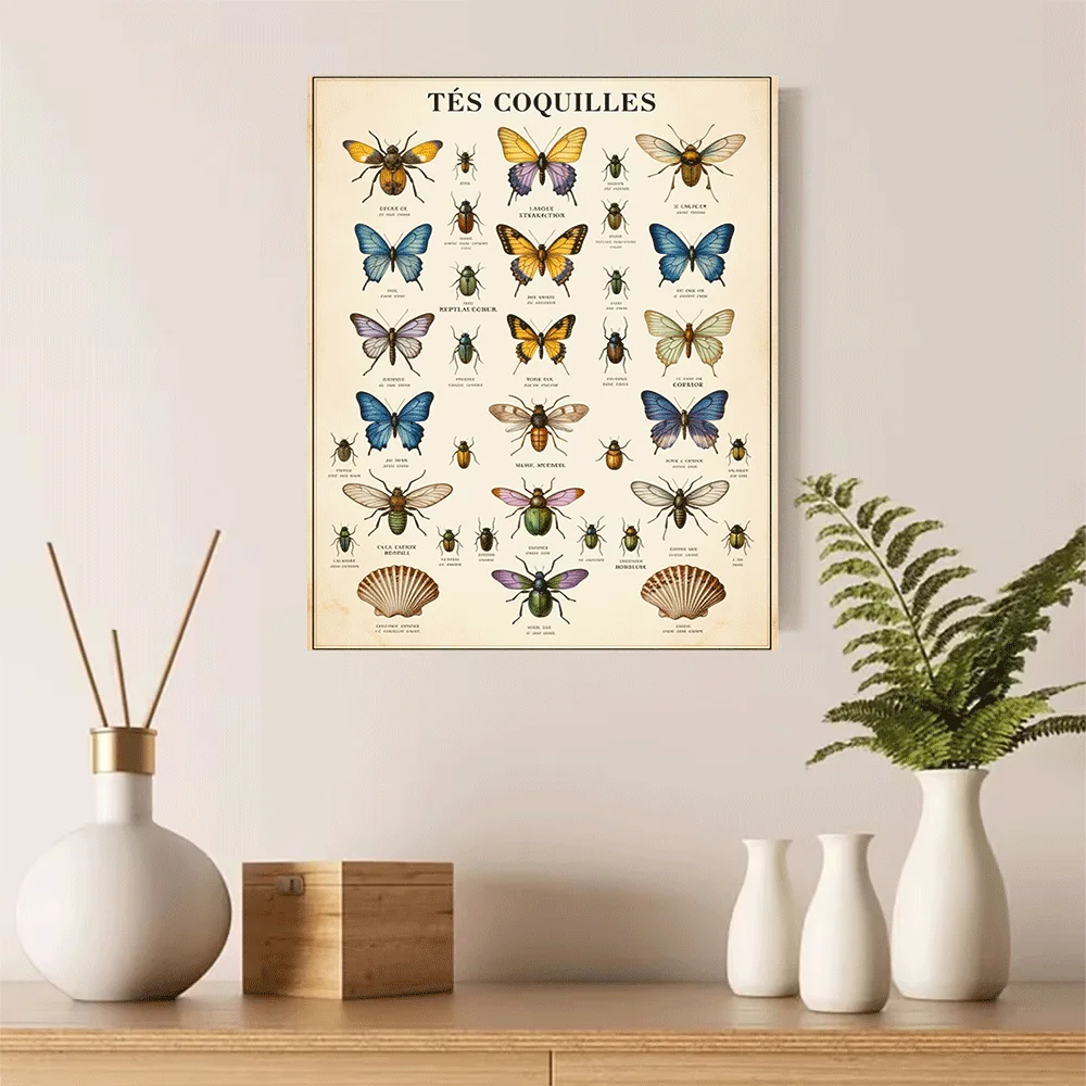 1PC-Canvas poster Unframed  Vintage Insect Art Print Butterfly Beetle Moth Shell Wall Decor Nature Poster  summer
