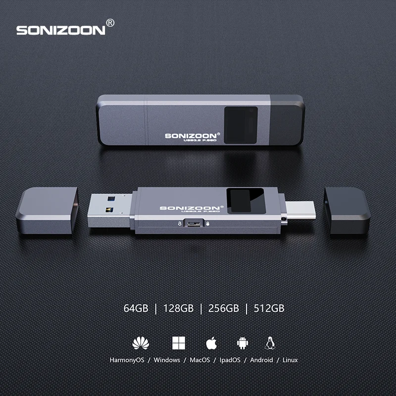 Fingerprint Encryption Portable SSD 128/256/512GBWrite Protection Function Solid State USB Flash Drive TPYEC3.2 Pen Drive USB3.2