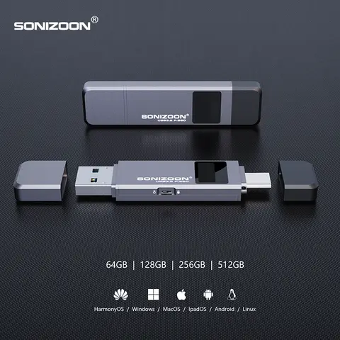 Szyfrowanie linii papilarnych Przenośny dysk SSD 128/256/512 GB Funkcja ochrony przed zapisem Półprzewodnikowy pendrive USB TPYEC3.2 Pendrive USB3.2