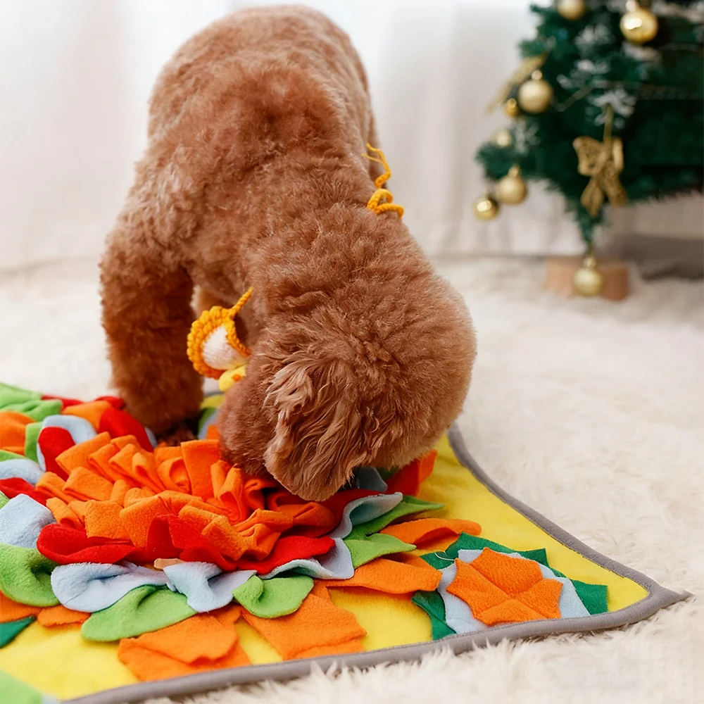 #27 Top Puppy Puzzle Toys Picks for Every Budget