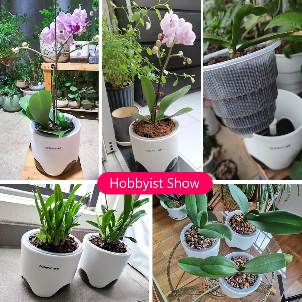 Meshpot klare Plastik Orchideen töpfe mit Löchern und Untertassen zum Umtopfen kleiner Orchideen Pflanzer Wurzel kontrolle Orchidee transparenten Topf – Detail 10