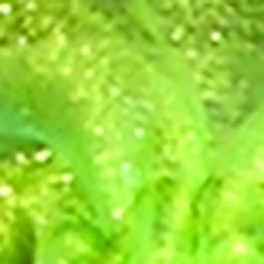 

t of 1 Tall Tie Gift ags- Ligt Green Seer Organza 12.5"