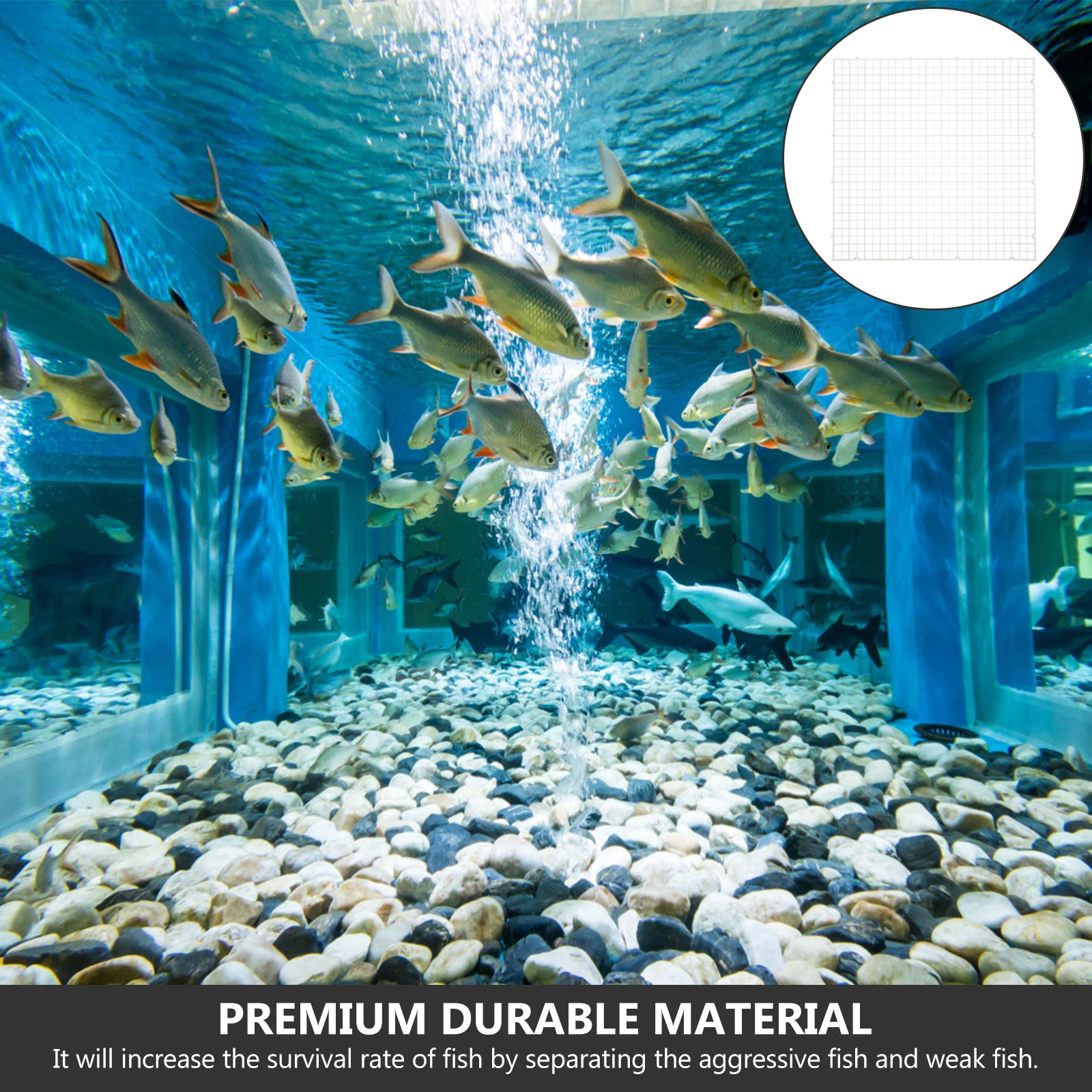 

6 Pcs Fish Tank Divider White Bottom Filter Plates Grid Isolation Aquarium Supplies PE Material Durable Safe Environment