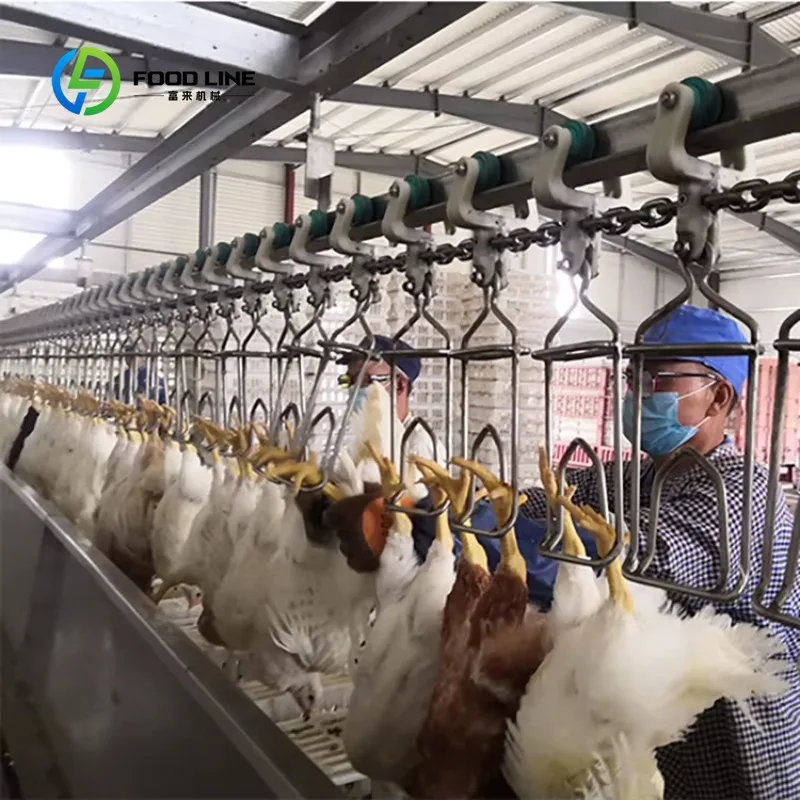 Customized Slaughtering Equipment Automatic Chicken Slaughtering Machine Line Chicken  Poultry Slaughtering Production Line