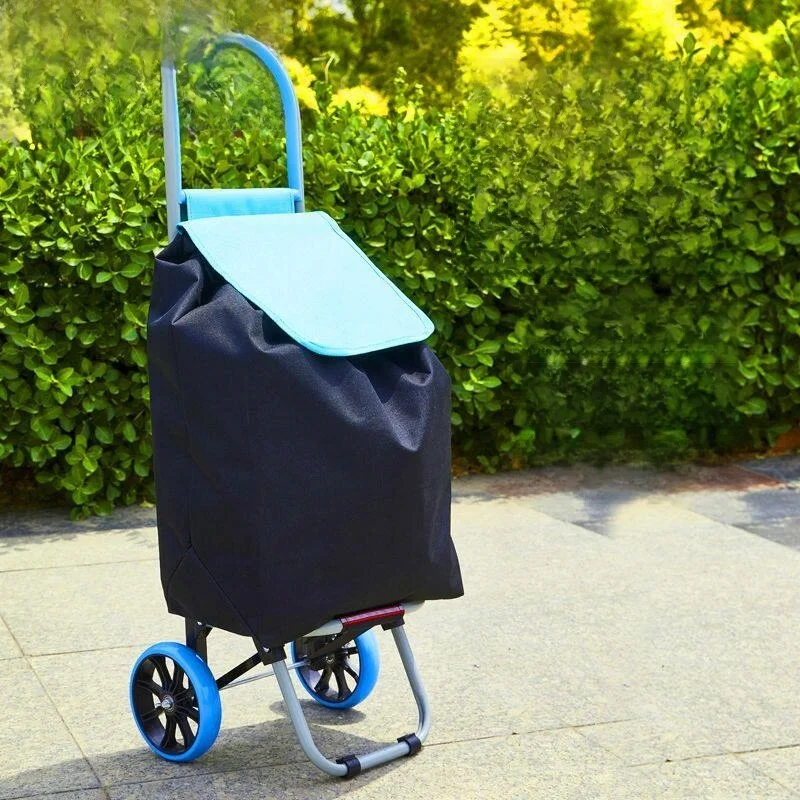 carrello-portatile-leggero-per-trasporto-verdure-saliscale-con-asta-di-trazione-per-uso-domestico-comodo-e-trainabile