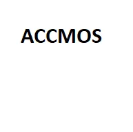 

special offer accmos bow arrow accessory part