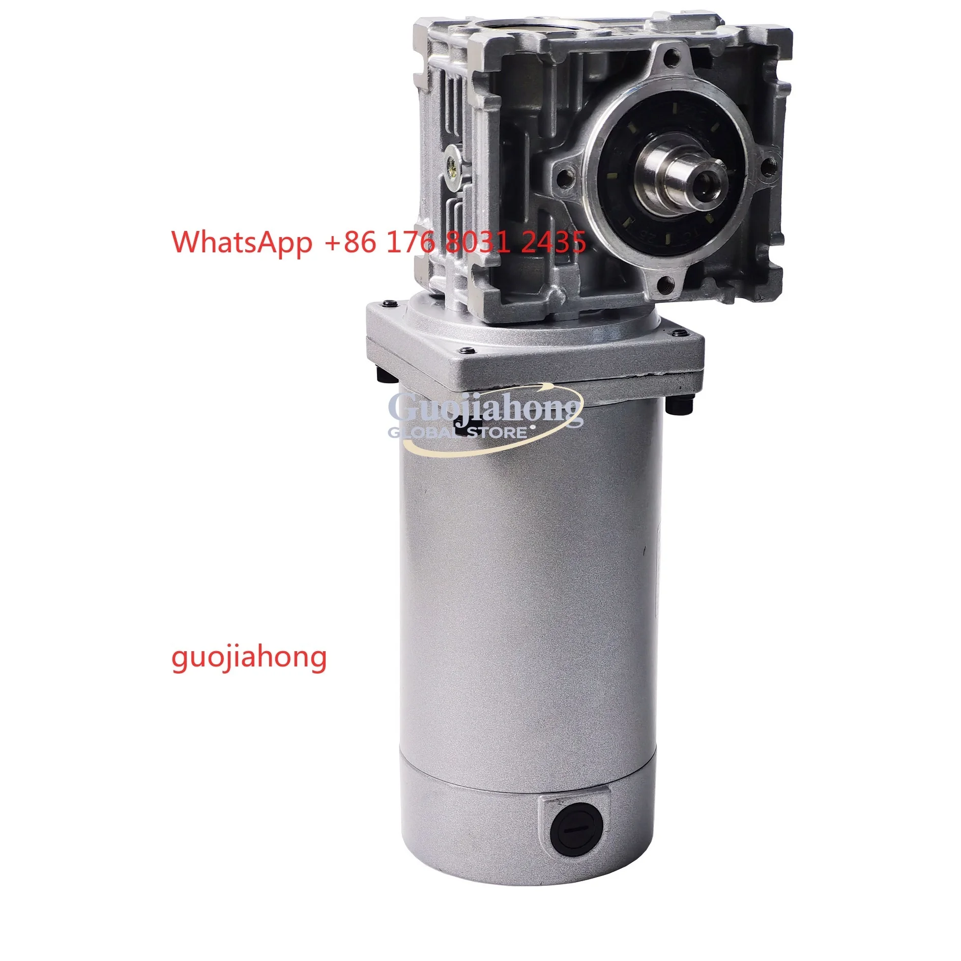 

12 В 24 В щетка постоянного тока электрический дверной двигатель с коробкой передач