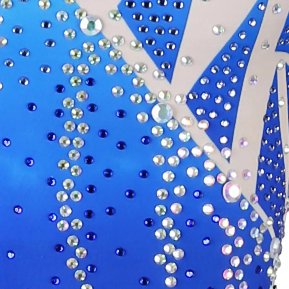 فستان الفالس المتدرج 2026 فستان جديد عالي الجودة لقاعة الرقص الملكي للسيدات فستان أداء أزرق مخصص فستان أداء نسائي