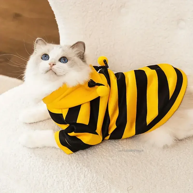 Thumbnail 3 - #77 Trending Pet Apparels Right Now