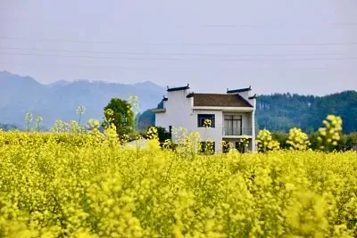 

Масляные амортизаторы для FMS FCX24M Camel Cup D90 D110 1/24, запчасти для радиоуправляемых машин