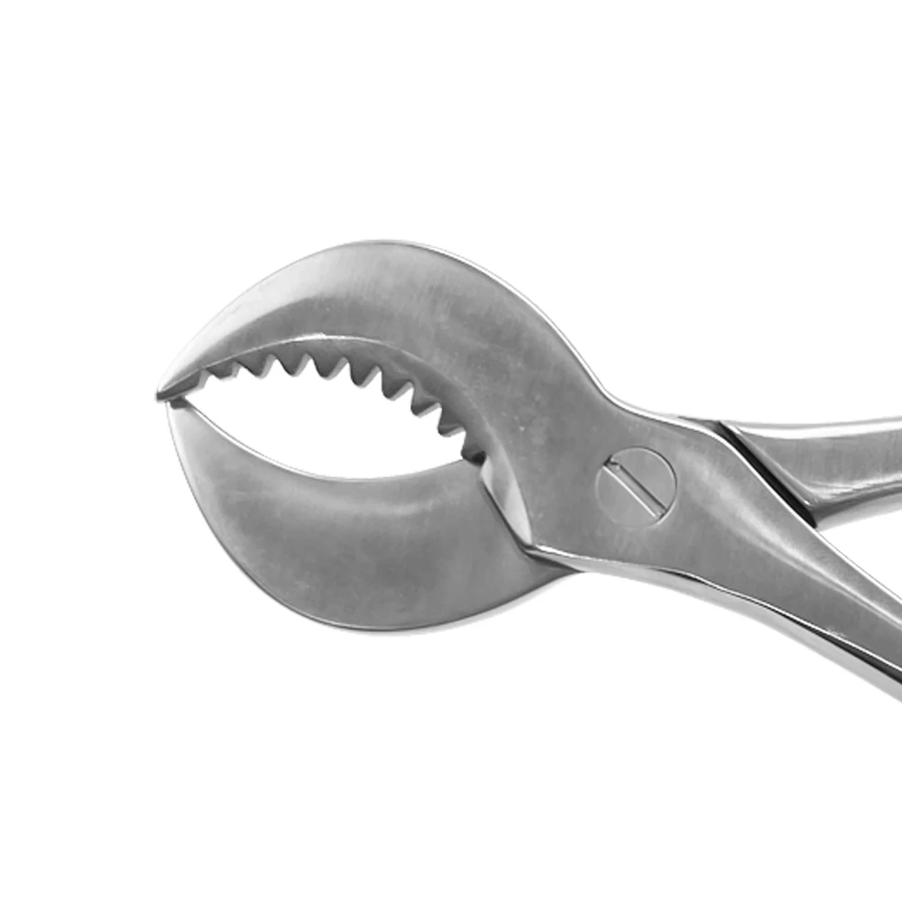 3Pcs S/L Dentist Lab Tools Dental Plaster Shears Scissiors Stainless Steel Forceps Instrument Gypsum Plaster Material Scissors