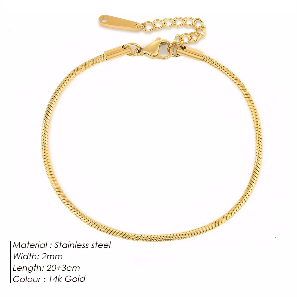 Women's Stainless Steel Round Snake Chain Anklet
