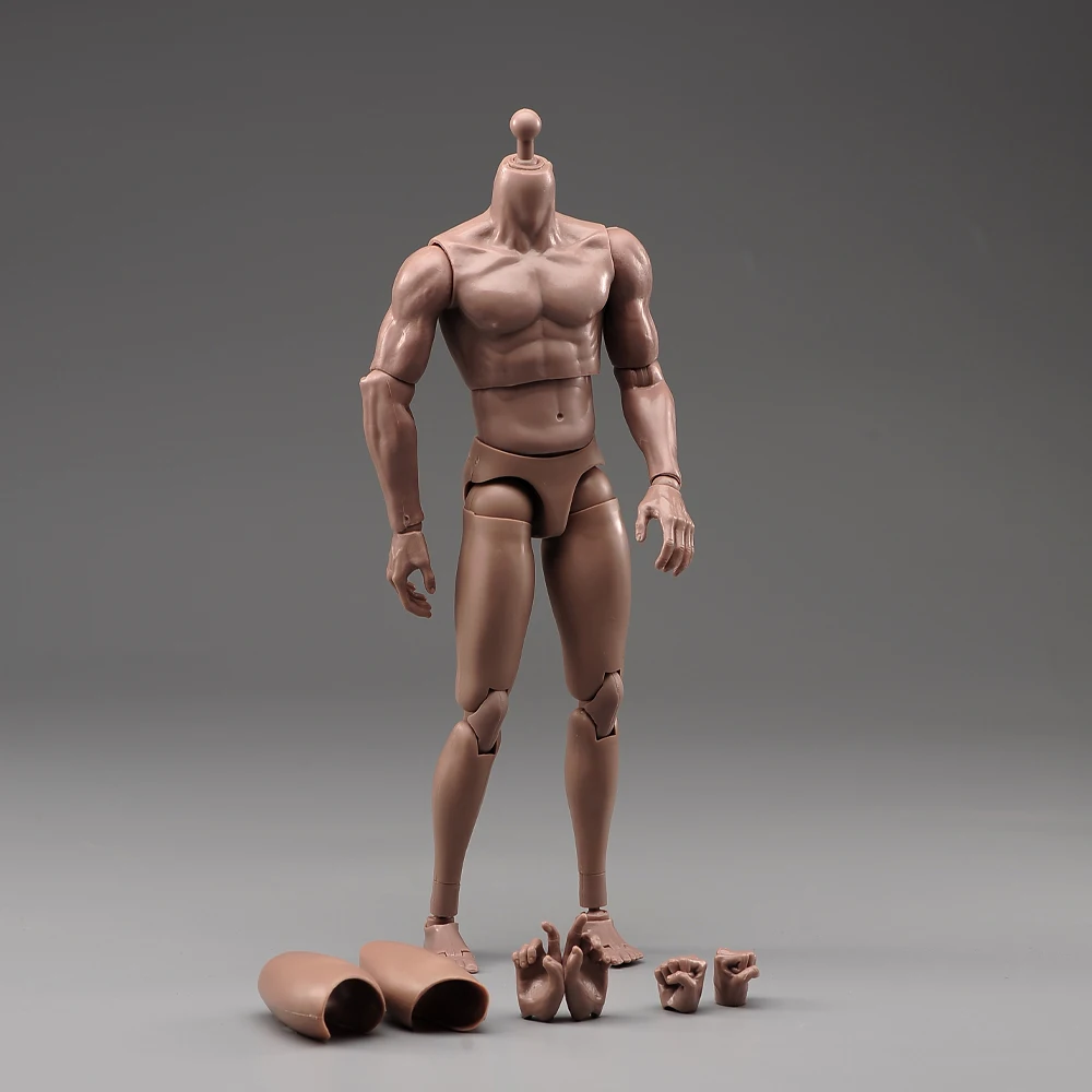 TQ210 TQ220 TQ230 1/6 Männlicher Normaler Muskel-Gelenkkörper 12'' Soldaten Flexibler Actionfigur-Körper für 1:6 Kopfskulpturen
