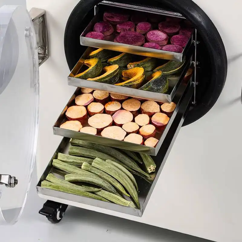 Mini Lyophilizer Hine Vacuum Pet Food Vegetable Fruit Dryer Weight Loss Freeze Dried Candy Powder