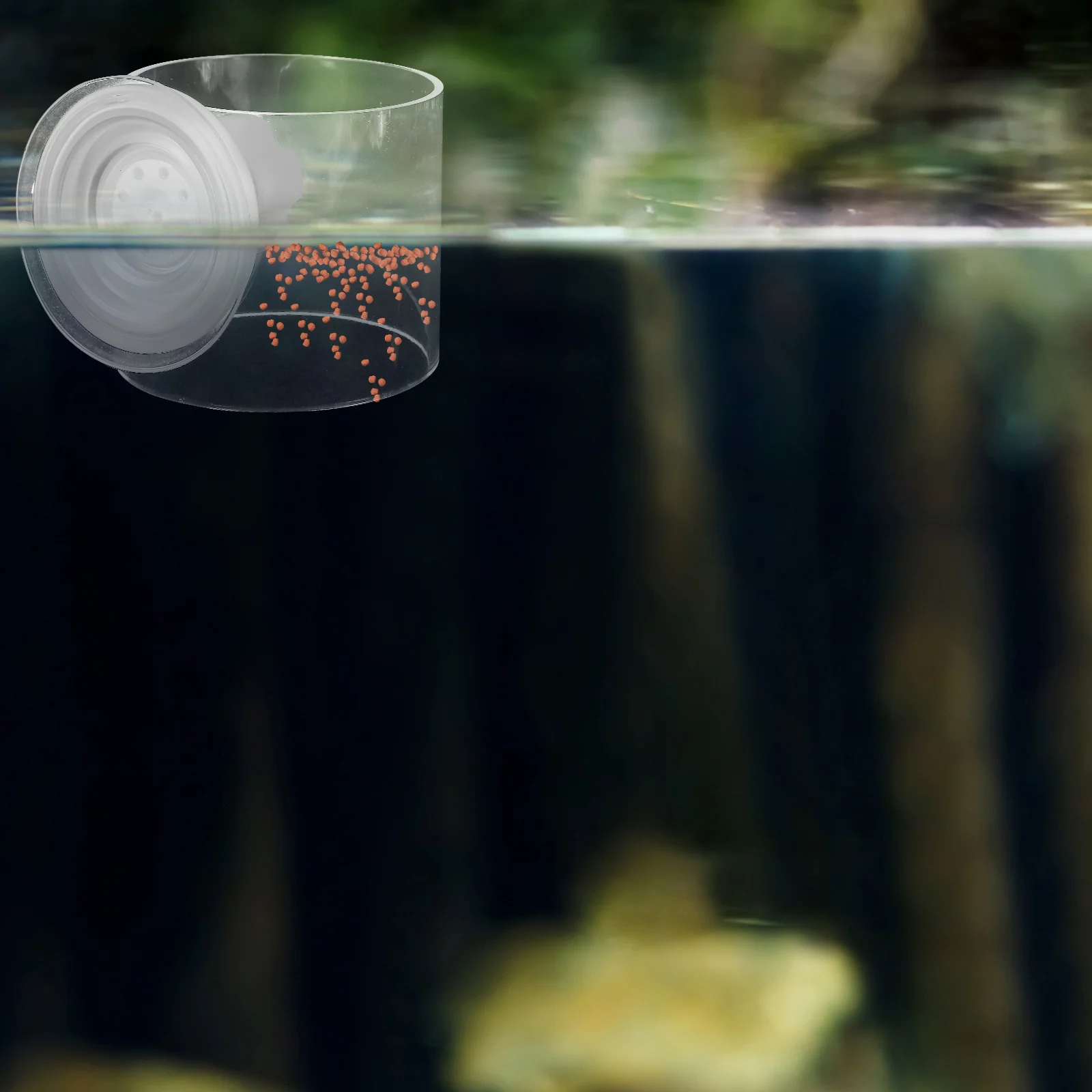 

Fish Feeding Ring Fish Feed Tool Aquarium Feeding Tool Floating Feeding Ring Fish Accessories