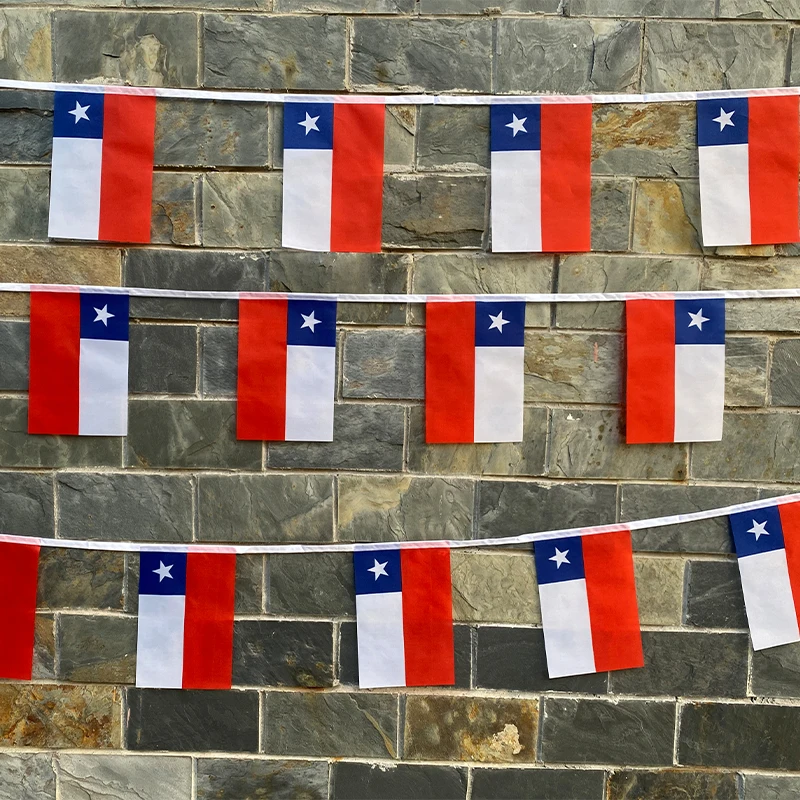 EOODLOVE Chilean Republic Flag 14x21cm Size 20 High Quality Polyester Indoor and Outdoor Hanging Decorative Flags