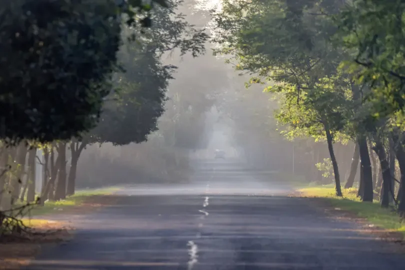 

Battery Pack for Night Fishing Lamp Heater Miner's Amplifier, BMS, 16.8V Charger, 4S6P, 14.8V, 20Ah, Li-on Battery Pack, 18650