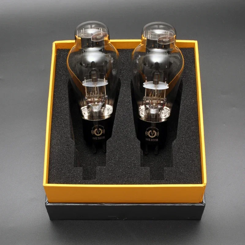 

LinLai WE300B Electric Tube HIFI EXQUIS Natural Sound Elegant Appearance