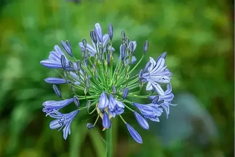 

4 шт., наружный диаметр 62 мм 1,0 дюйма, набор колес с металлическими бусинами для 1/18 RC гусеничного автомобиля TRX4M SCX24, обновленные детали, аксессуары