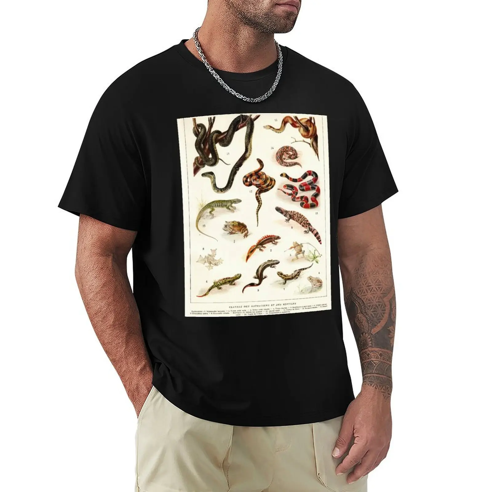 Adolphe Millot - Batraciens et reptiles - French vintage zoology poster T-Shirt plus size clothes man t shirt t shirt men