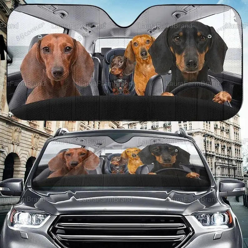 

Dachshund Car Windshield Sunshades, Dachshund Lover Cute Sunshade, Funny Dachshund Car Sunshades, Father Day's Gift PHT212107A70