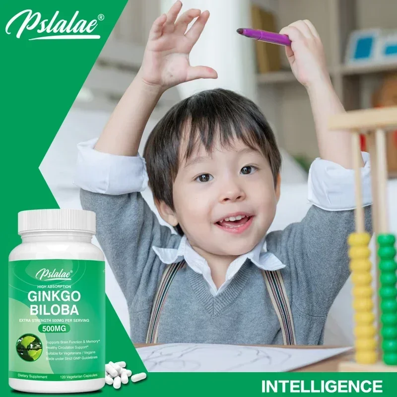 

Ginkgo Biloba 500mg Extra Strength 500mg Per Serving - Supports Brain Function and Memory Support, 120 Vegetarian Capsules Suppl