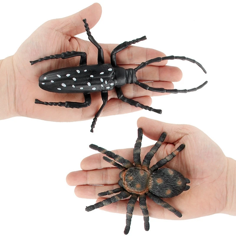 Dorcus Intermedius Specimens Of Atlas Subspecies Of Insects Real Beetles Stag Beetles Giddyups And Butterflies For Collectors