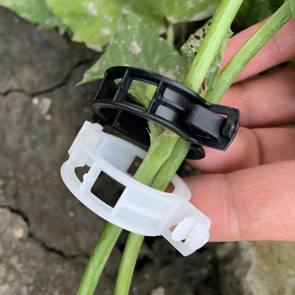 Thickened Plastic plant Support Clips Reusable Plant Vine Protection Grafting Fixing Tool For Vegetable Tomato Garden Supplies