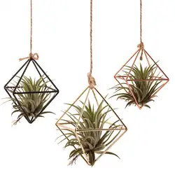 Tabletop Air Plant Stand Geometric Glass Terrarium Propagation Station with Iron Stand for Home Office Decor Plant Lover