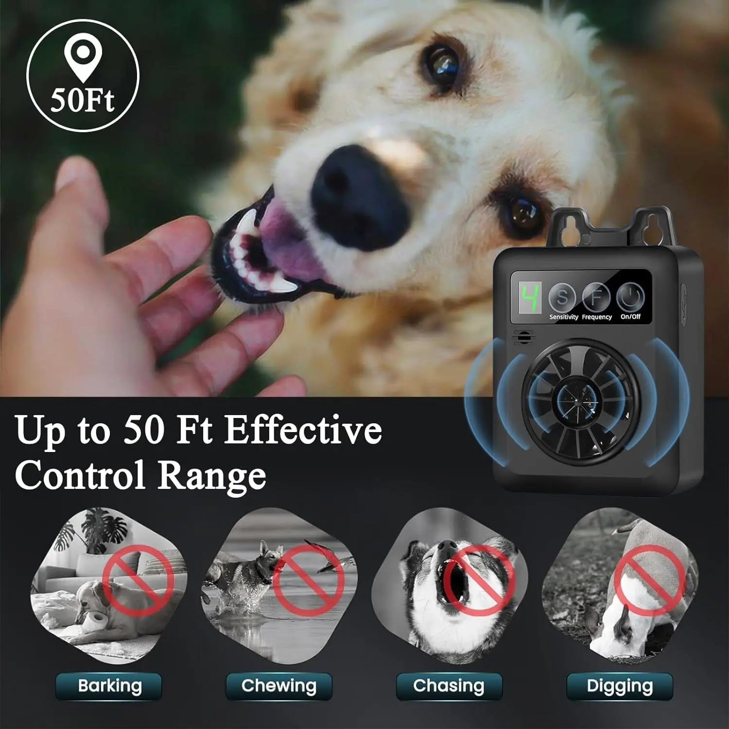 Thumbnail 4 - #57 Latest Dog Training Offers