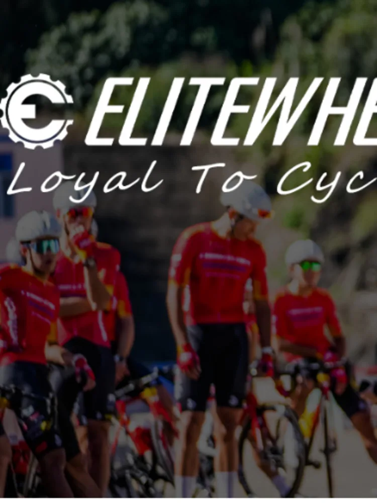 AliExpress NONE ELITEWHEELS DPD PRO MAX