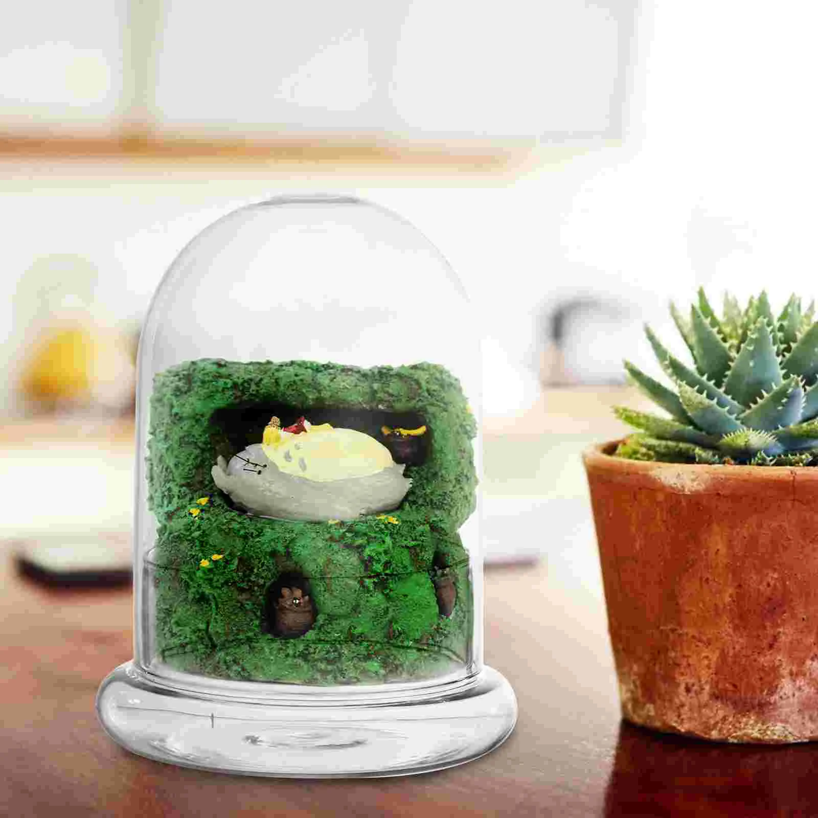 Display Cabinets Moss Micro Landscape Bottle Bottled Desk Ecological Decoration