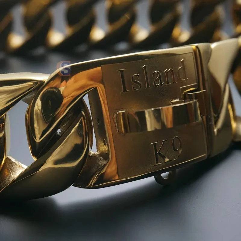New Style Fashionable Personalized Stainless Steel  Link Chain Dog Collar for Dogs
