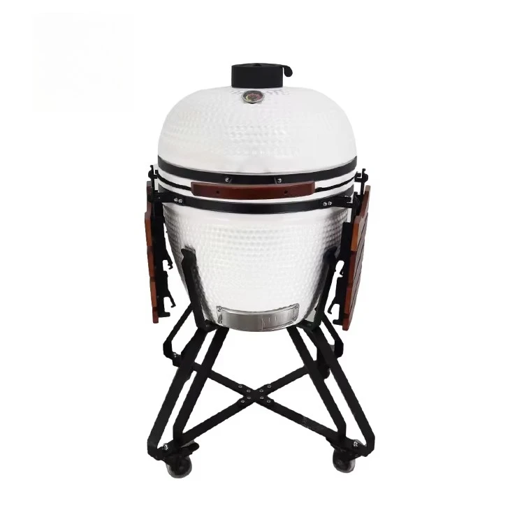 Grill 23.5 Inch Ceramic Charcoal Grill Multi-Person Outdoor BBQ Cooking for Backyard