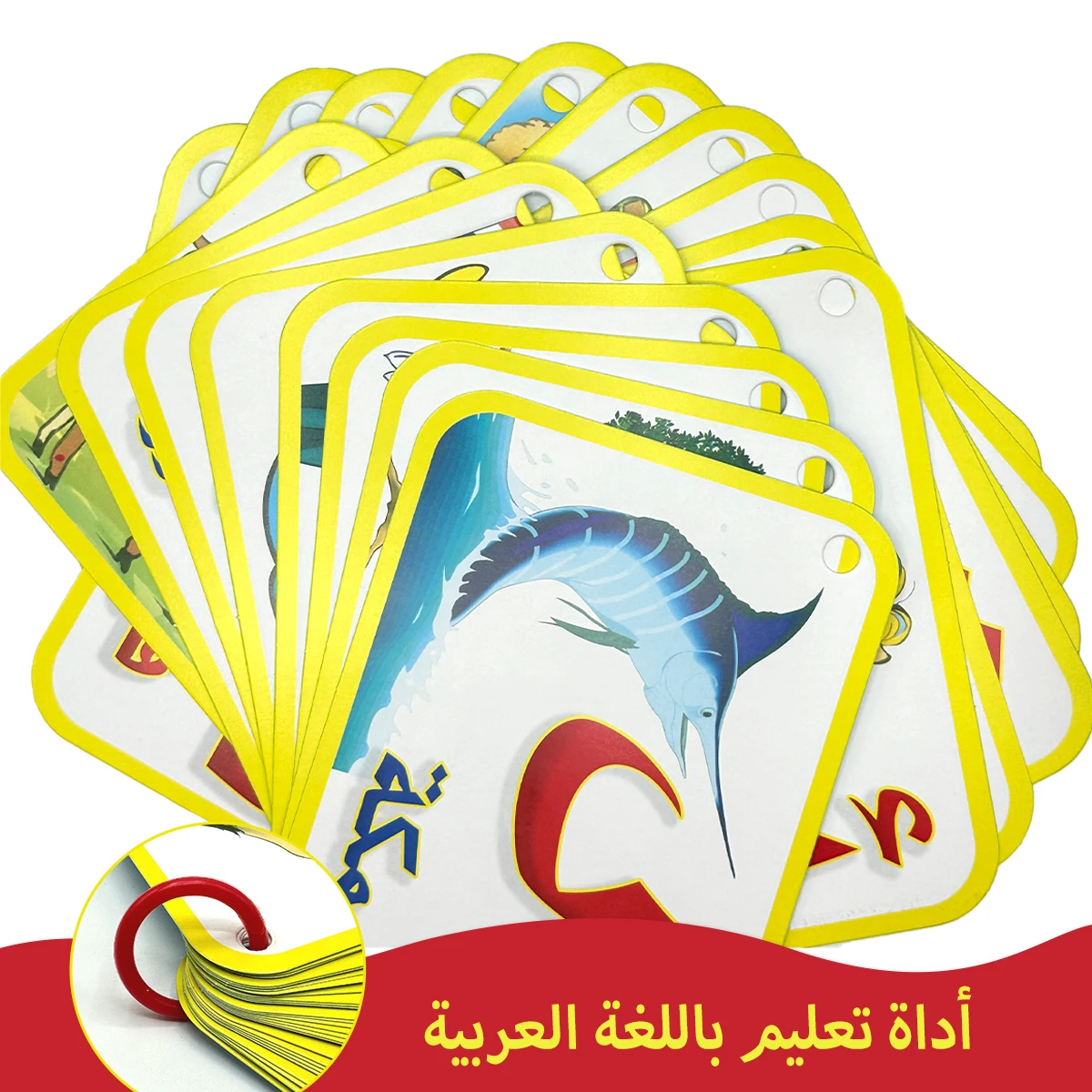 

Детские карточки с арабским алфавитом - иллюстрация животных, исламское дошкольное образование, карточки с алфавитом Монтессори