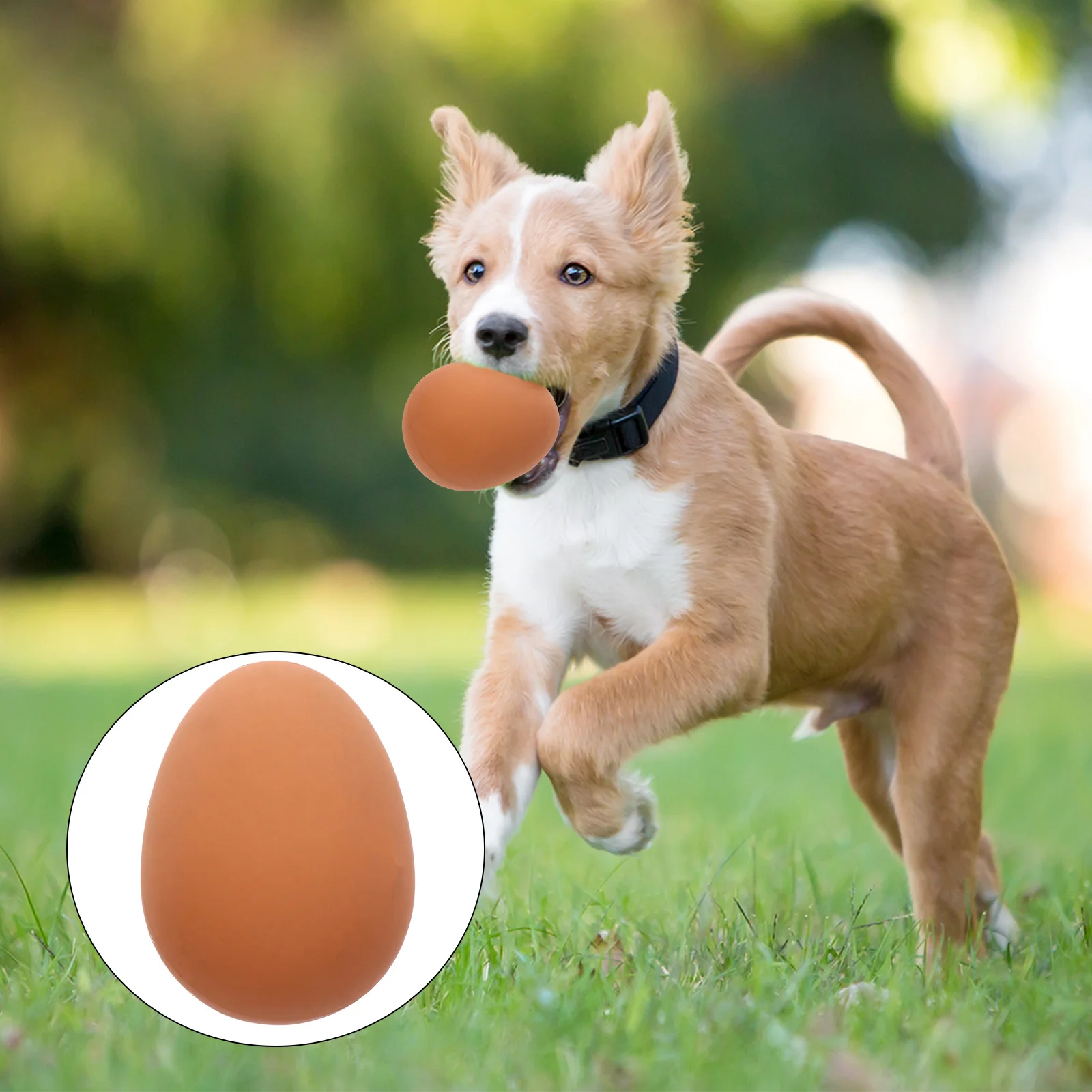 

5Pcs Creative Egg Shaped Interactive Pet Supplies Durable Rubber Khaki Bounce Ball Dog Simulation Eggs