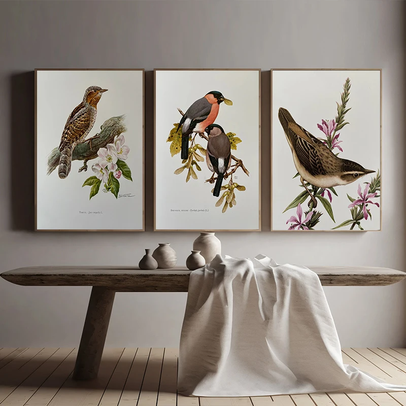 Retro Birds Animals Poster Wildlife Ornithology Illustration Canvas Painting Vintage Antique Wall Art for Living Room Home Decor