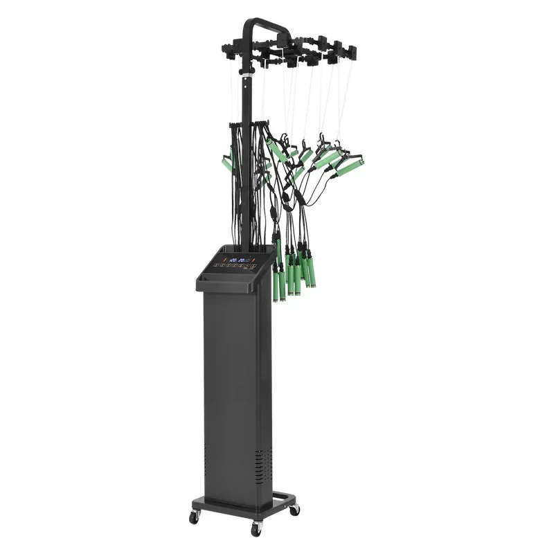 

Intelligent Hairdressing Machine Salon Special Constant Temperature Double-Hole Digital Perm Machine For Home Use Beauty Salon